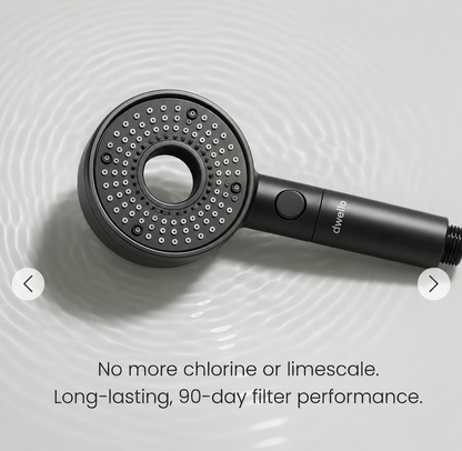 Dwello Classic Gray filtered handheld shower head with advanced multi-stage filtration designed to reduce chlorine and limescale while delivering up to 90 days of filter performance.